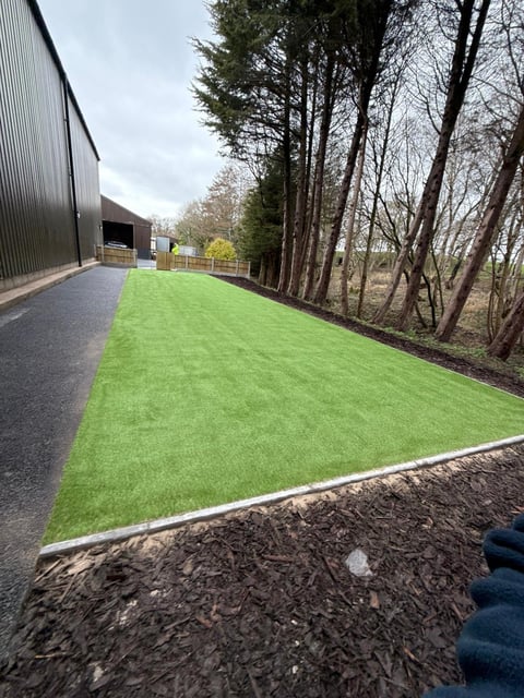 Modern building with bright green lawn bordered by mulch, asphalt pathway, and tall trees lining the property edge